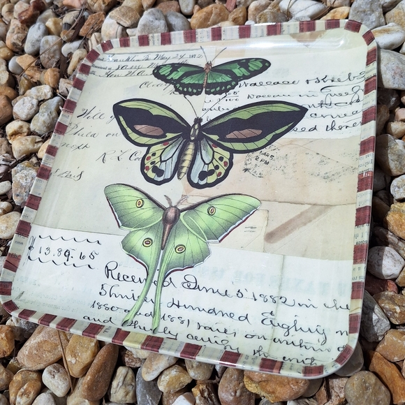Malamine Serving Tray Butterfly Kitchen Hoem Decor Coffee Table Plastic Acrylic - Picture 10 of 10